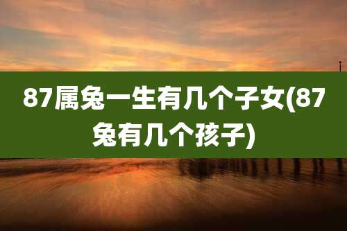 87属兔一生有几个子女(87兔有几个孩子)