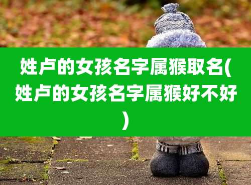 姓卢的女孩名字属猴取名(姓卢的女孩名字属猴好不好)