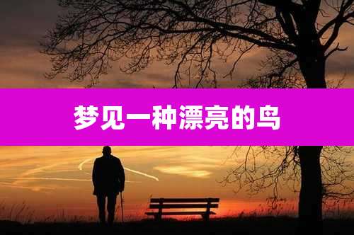 梦见一种漂亮的鸟
