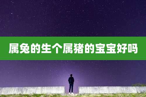 属兔的生个属猪的宝宝好吗