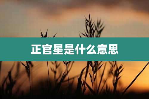 正官星是什么意思