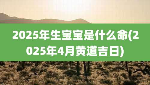 2025年生宝宝是什么命(2025年4月黄道吉日)