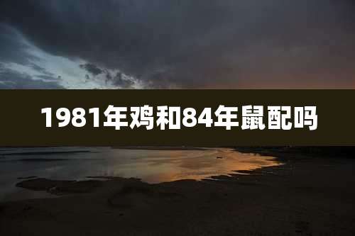 1981年鸡和84年鼠配吗