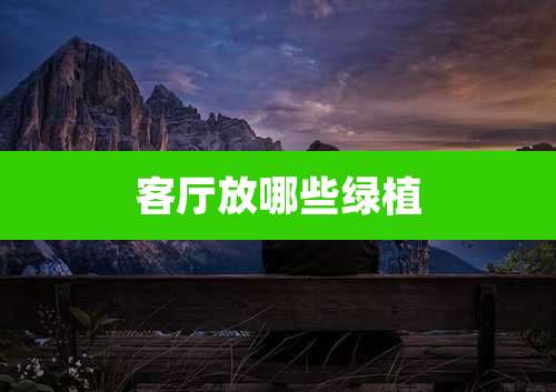 客厅放哪些绿植