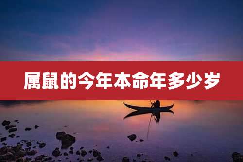 属鼠的今年本命年多少岁