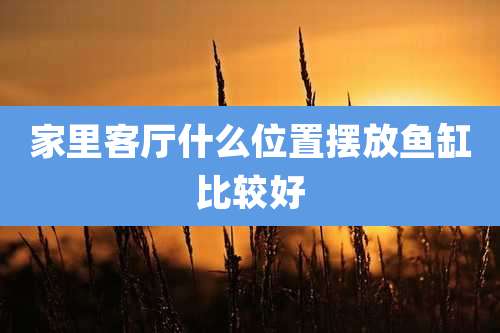 家里客厅什么位置摆放鱼缸比较好