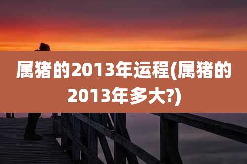 属猪的2013年运程(属猪的2013年多大?)