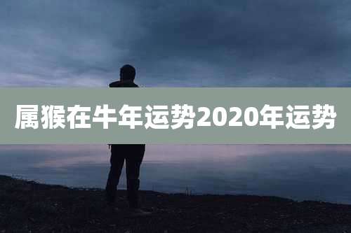 属猴在牛年运势2020年运势