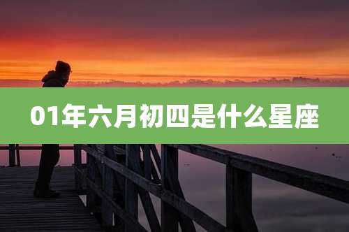 01年六月初四是什么星座