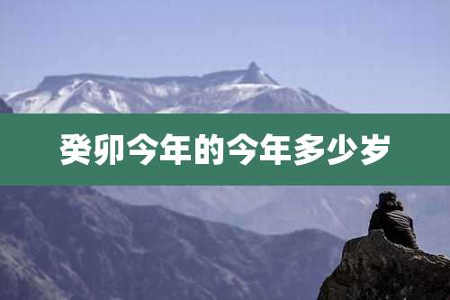 癸卯今年的今年多少岁