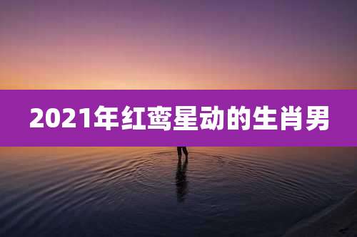 2021年红鸾星动的生肖男