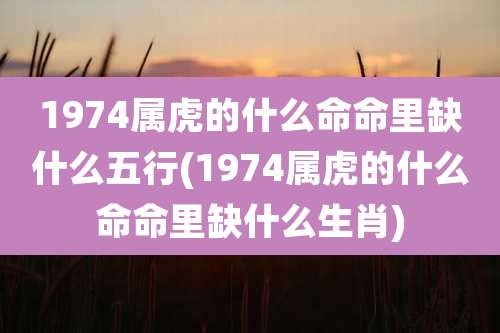 1974属虎的什么命命里缺什么五行(1974属虎的什么命命里缺什么生肖)