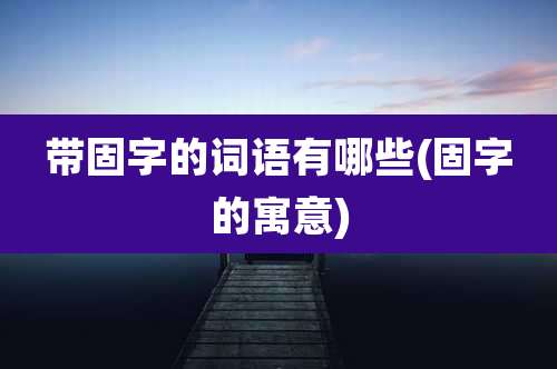 带固字的词语有哪些(固字的寓意)
