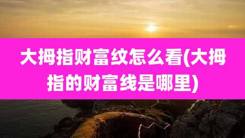 大拇指财富纹怎么看(大拇指的财富线是哪里)