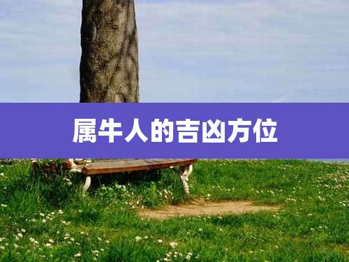 属牛人的吉凶方位