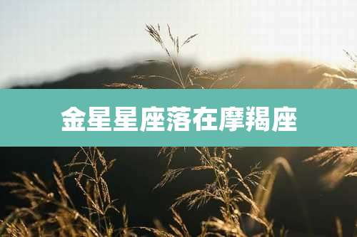 金星星座落在摩羯座