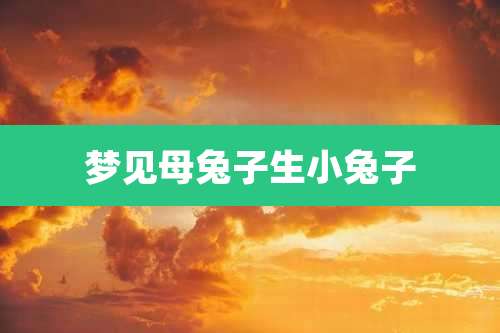 梦见母兔子生小兔子