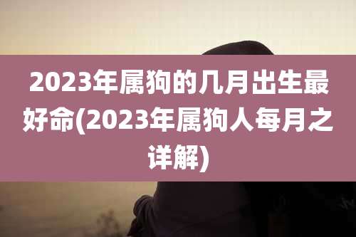 2023年属狗的几月出生最好命(2023年属狗人每月之详解)