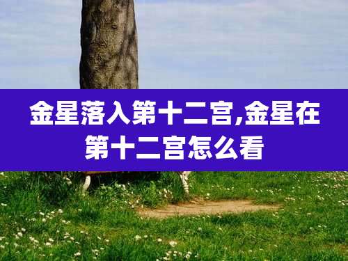 金星落入第十二宫,金星在第十二宫怎么看