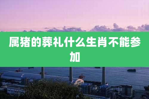 属猪的葬礼什么生肖不能参加