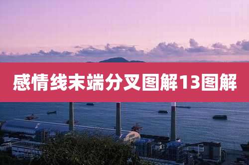 感情线末端分叉图解13图解