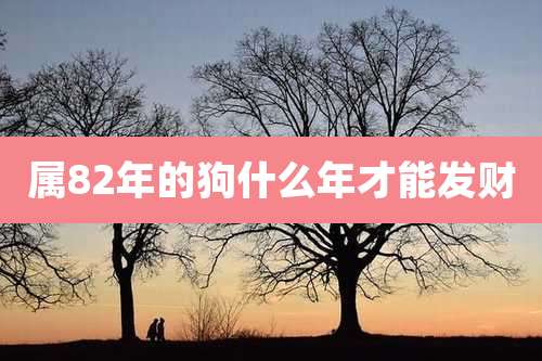 属82年的狗什么年才能发财