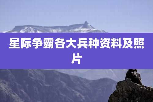 星际争霸各大兵种资料及照片