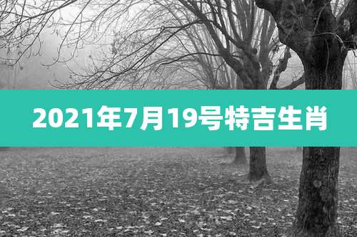 2021年7月19号特吉生肖
