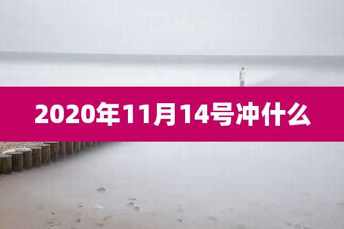2020年11月14号冲什么