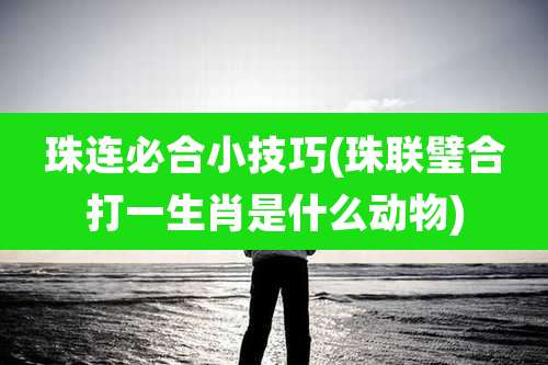 珠连必合小技巧(珠联璧合打一生肖是什么动物)