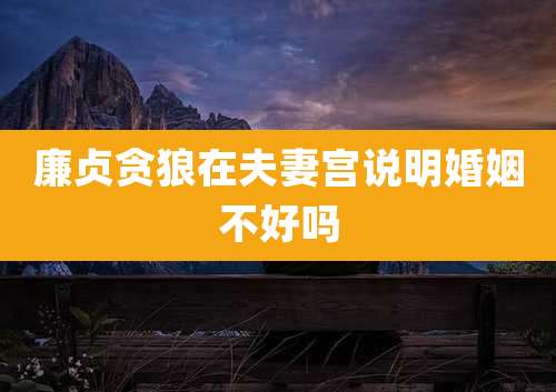 廉贞贪狼在夫妻宫说明婚姻不好吗