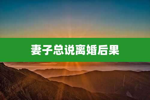 妻子总说离婚后果