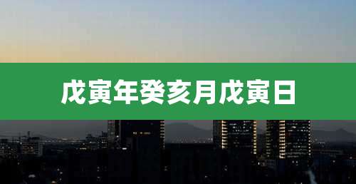 戊寅年癸亥月戊寅日