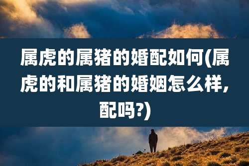 属虎的属猪的婚配如何(属虎的和属猪的婚姻怎么样,配吗?)
