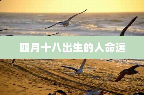 四月十八出生的人命运