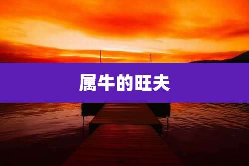 属牛的旺夫