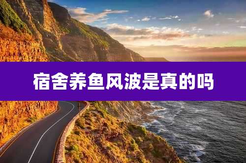 宿舍养鱼风波是真的吗