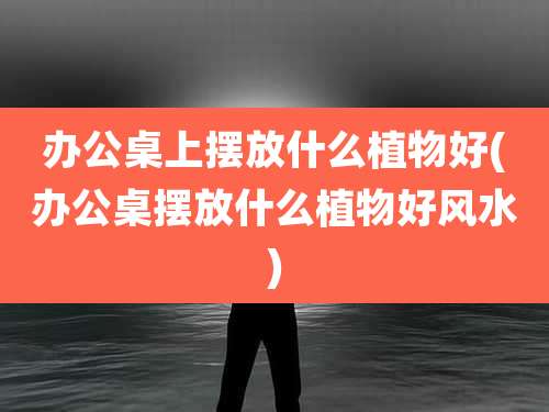 办公桌上摆放什么植物好(办公桌摆放什么植物好风水)