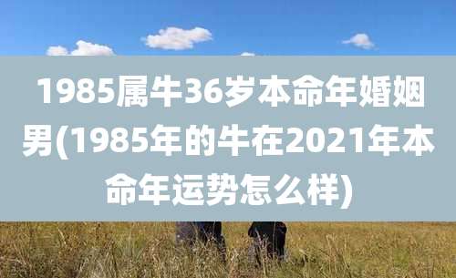 1985属牛36岁本命年婚姻男(1985年的牛在2021年本命年运势怎么样)