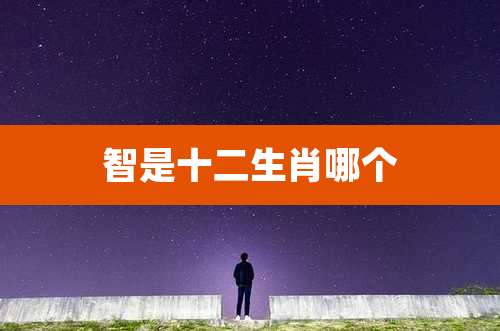智是十二生肖哪个