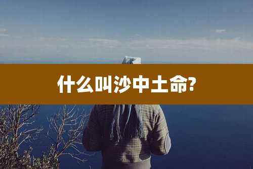 什么叫沙中土命?