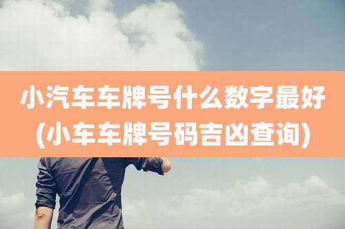 小汽车车牌号什么数字最好(小车车牌号码吉凶查询)