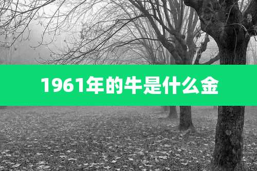 1961年的牛是什么金