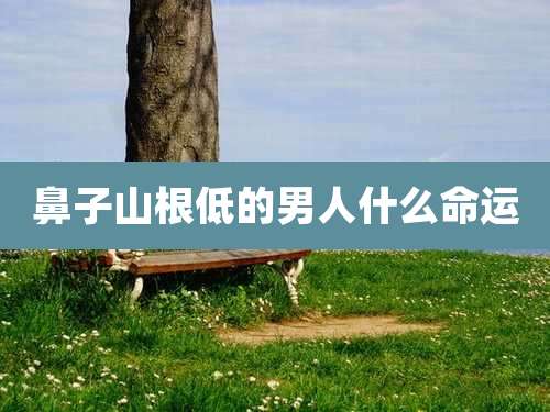 鼻子山根低的男人什么命运