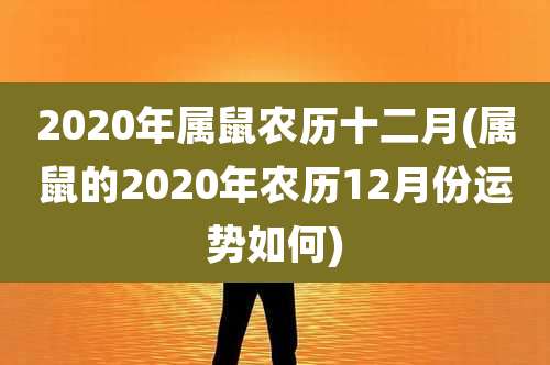 2020年属鼠农历十二月(属鼠的2020年农历12月份运势如何)