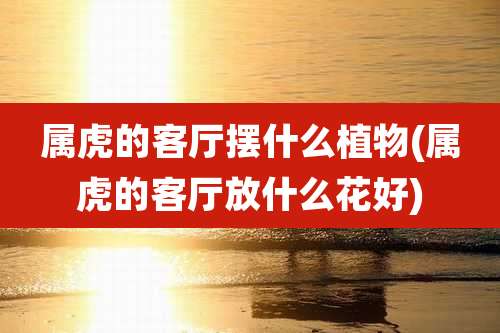 属虎的客厅摆什么植物(属虎的客厅放什么花好)