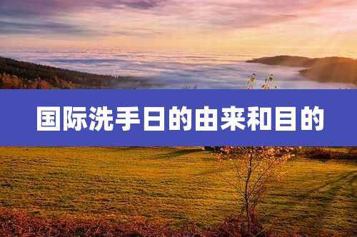 国际洗手日的由来和目的