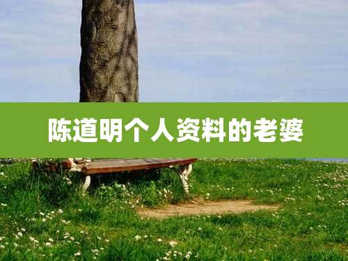 陈道明个人资料的老婆