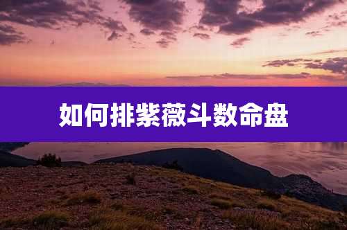 如何排紫薇斗数命盘