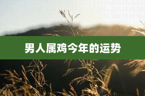 男人属鸡今年的运势